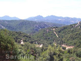 views from Pantaleo