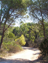 pathway to private bay